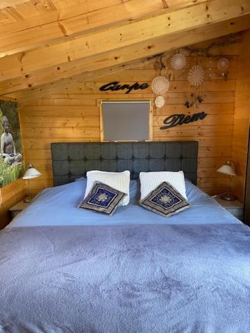 Апартаменты Tinyhouse Woody At The Water Зандам Экстерьер фото